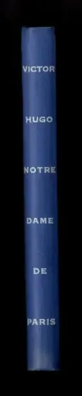 Notre dame de Paris